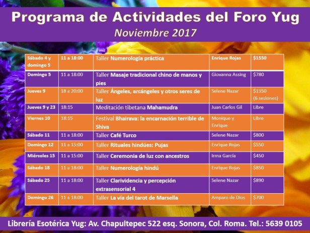 Actividades noviembre 2017